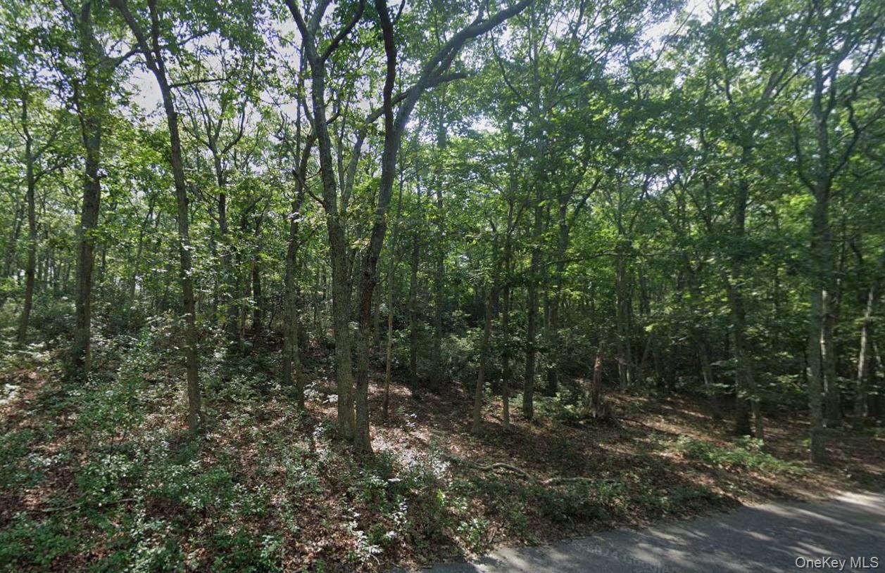 901 Old Sag Harbor Road, Water Mill, NY 11976