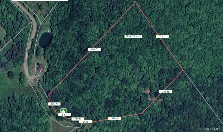 Lot 29.4 Sunset Trail, Franklin, NY 13775