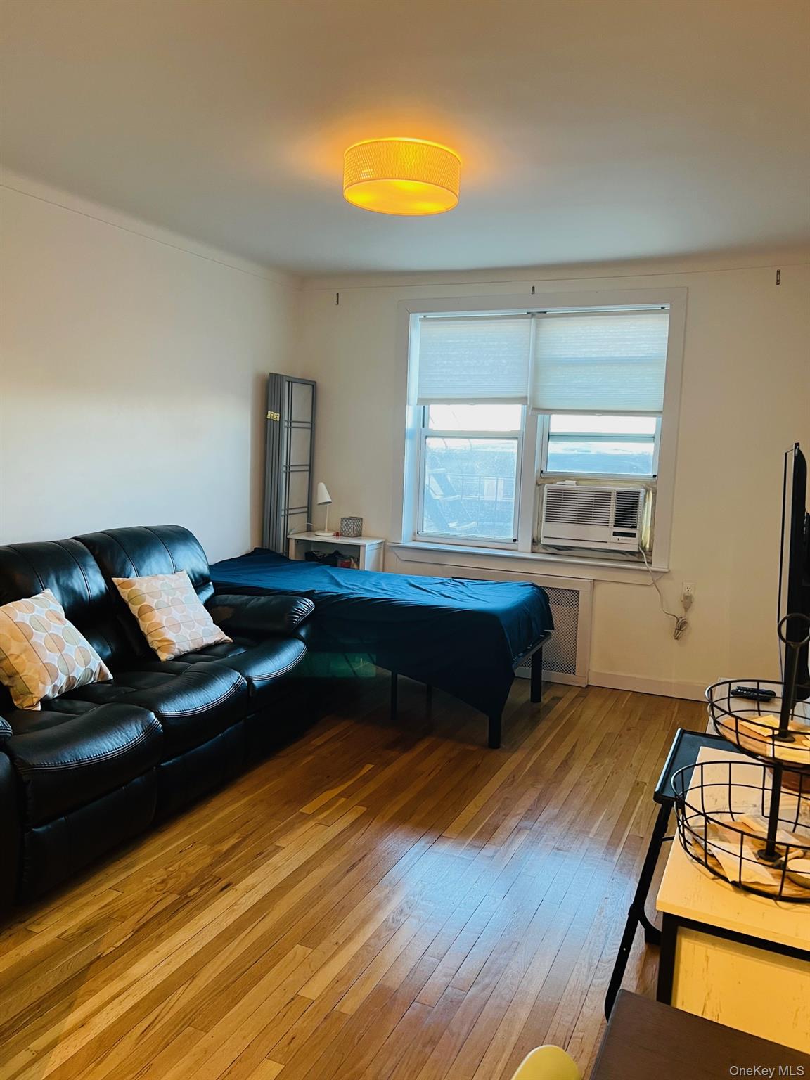 110-20 71st Avenue # 416, Forest Hills, NY 11375