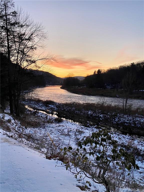 455 Peas Eddy Road, Hancock, NY 13783