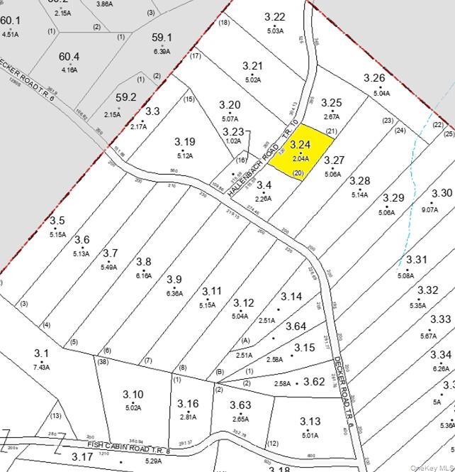 Hallenbach Road, Glen Spey, NY 12737