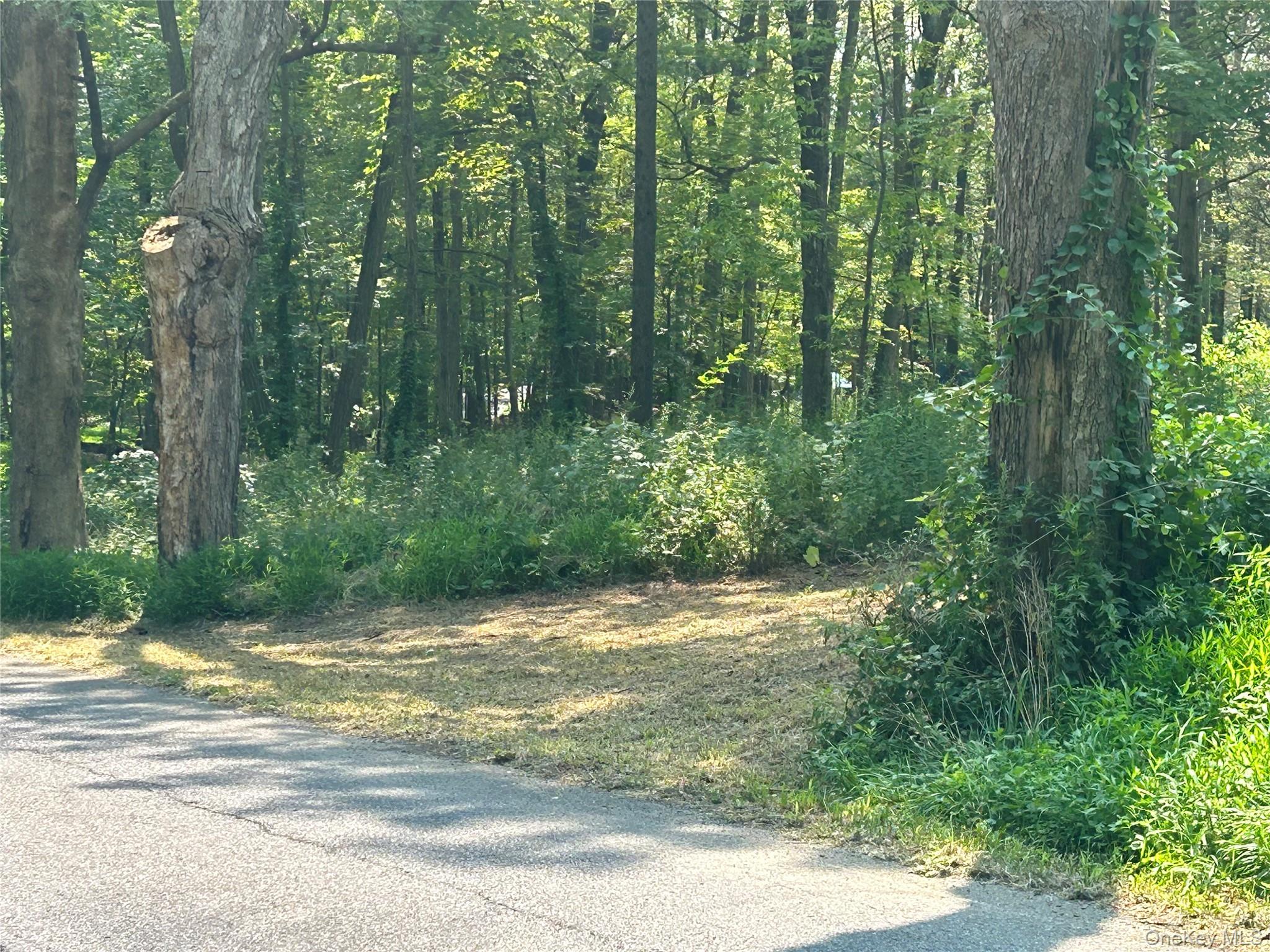 White Schoolhouse Road, Rhinebeck, NY 12572