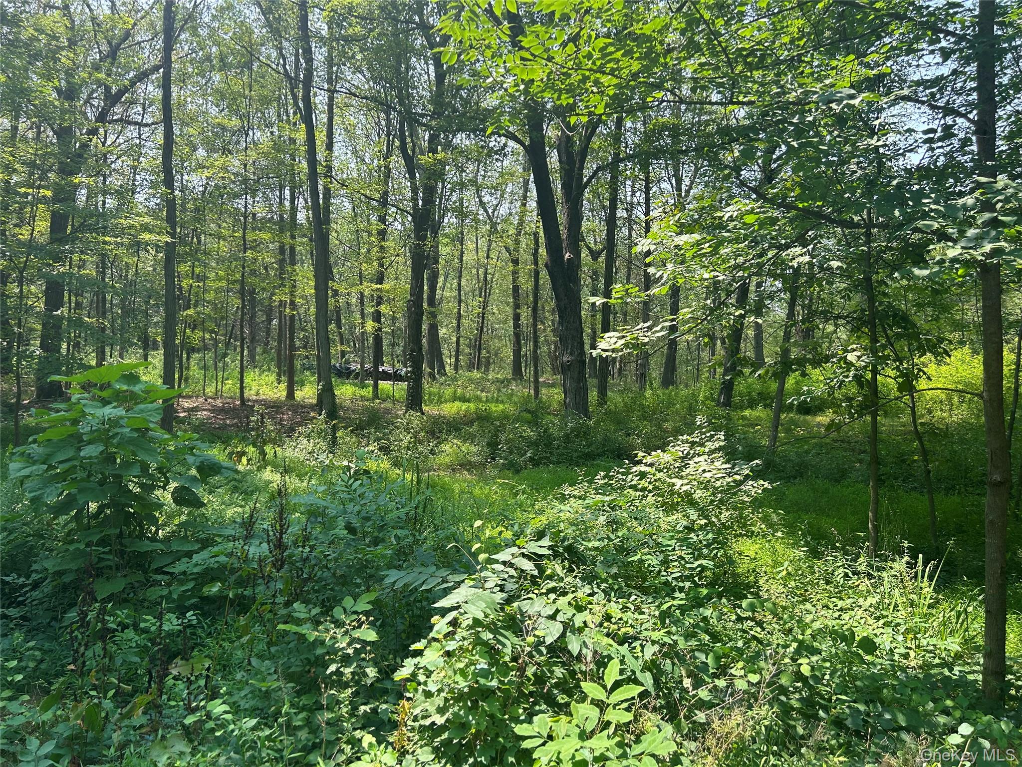 White Schoolhouse Road, Rhinebeck, NY 12572