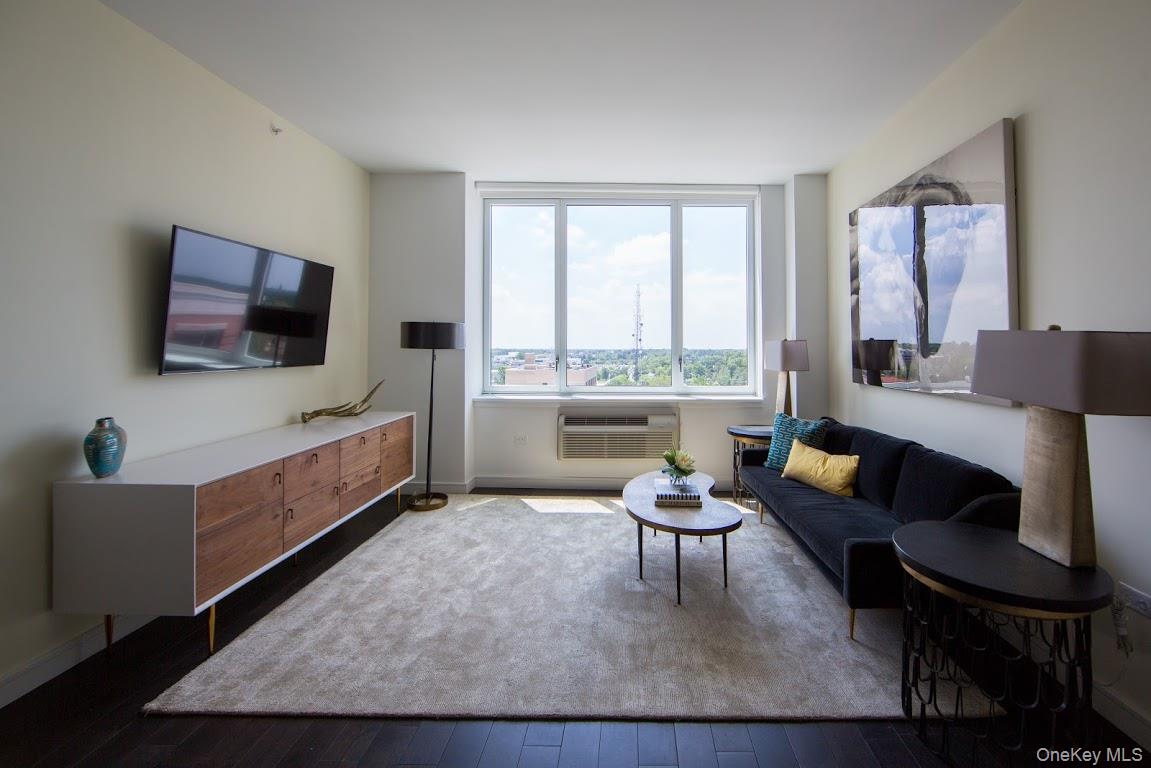 1 Third # 424, Mineola, NY 11501