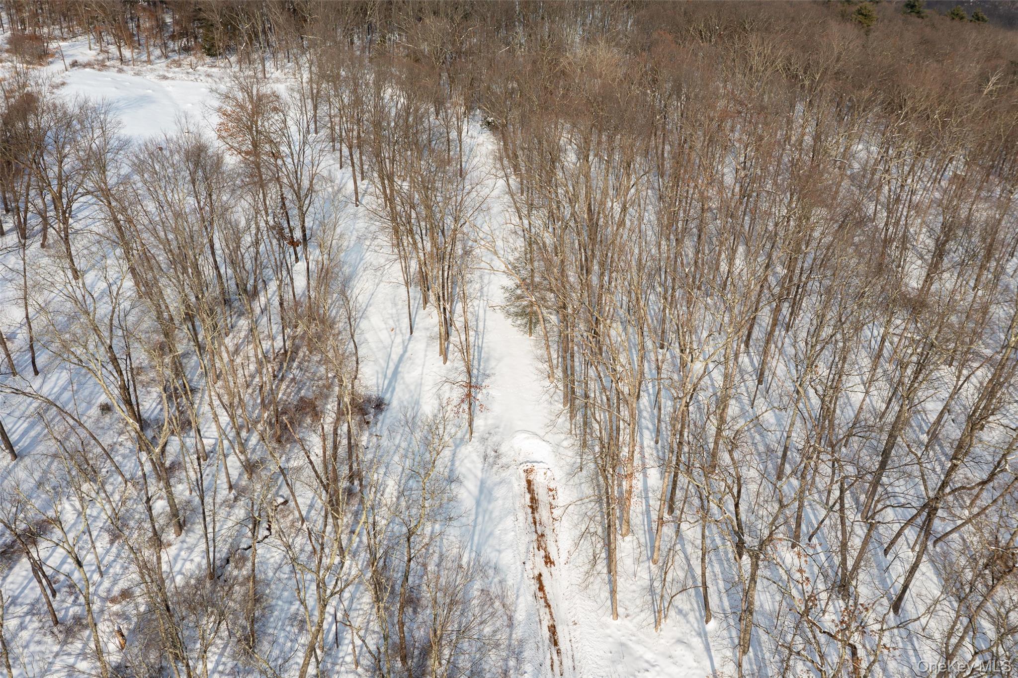 207 Pleasant Vale, Tivoli, NY 12583