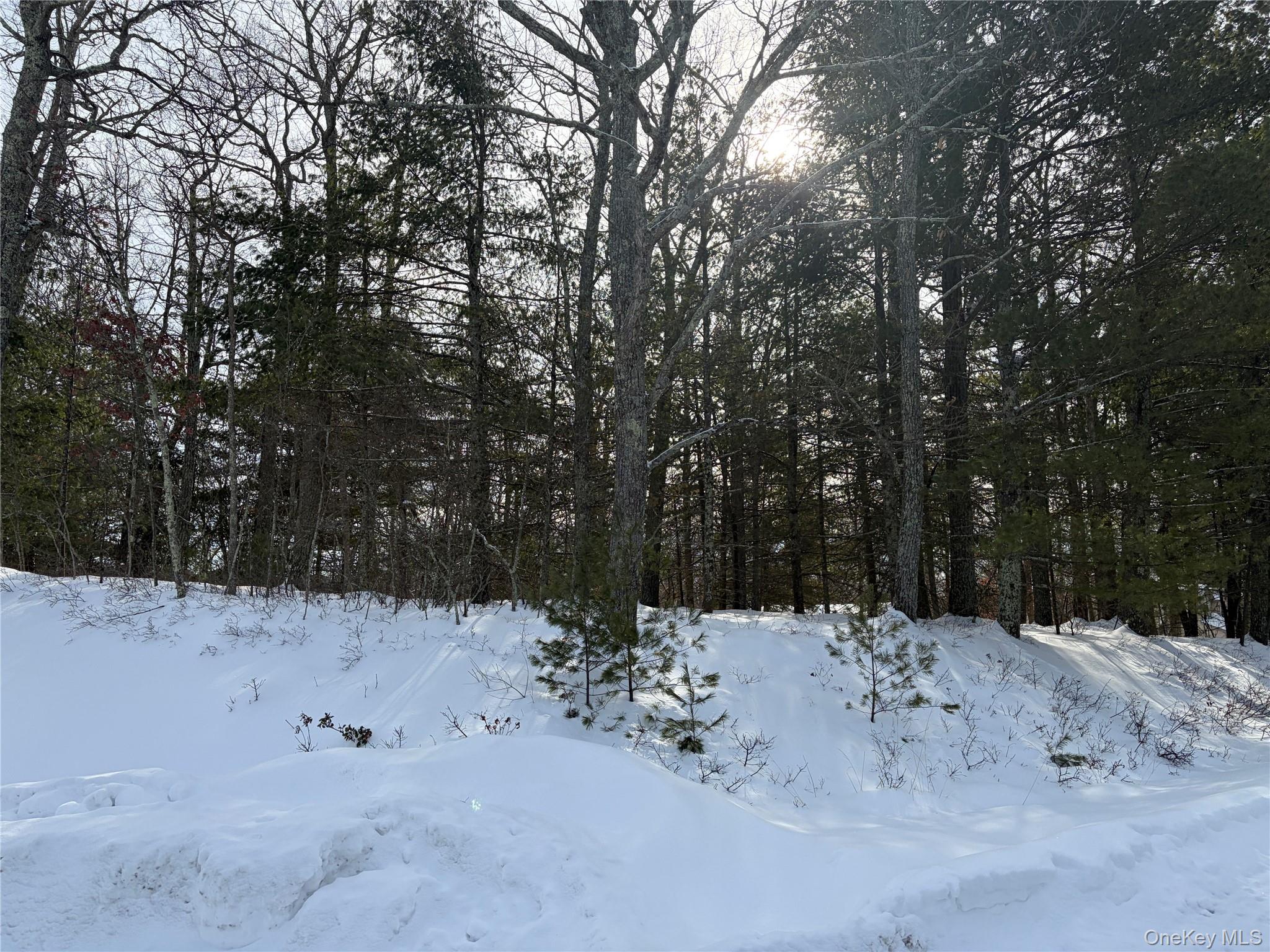 Lot 1 Willow Lane, Glen Spey, NY 12737