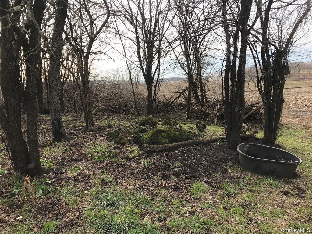 46 Jessup Switch Road, Goshen, NY 10924