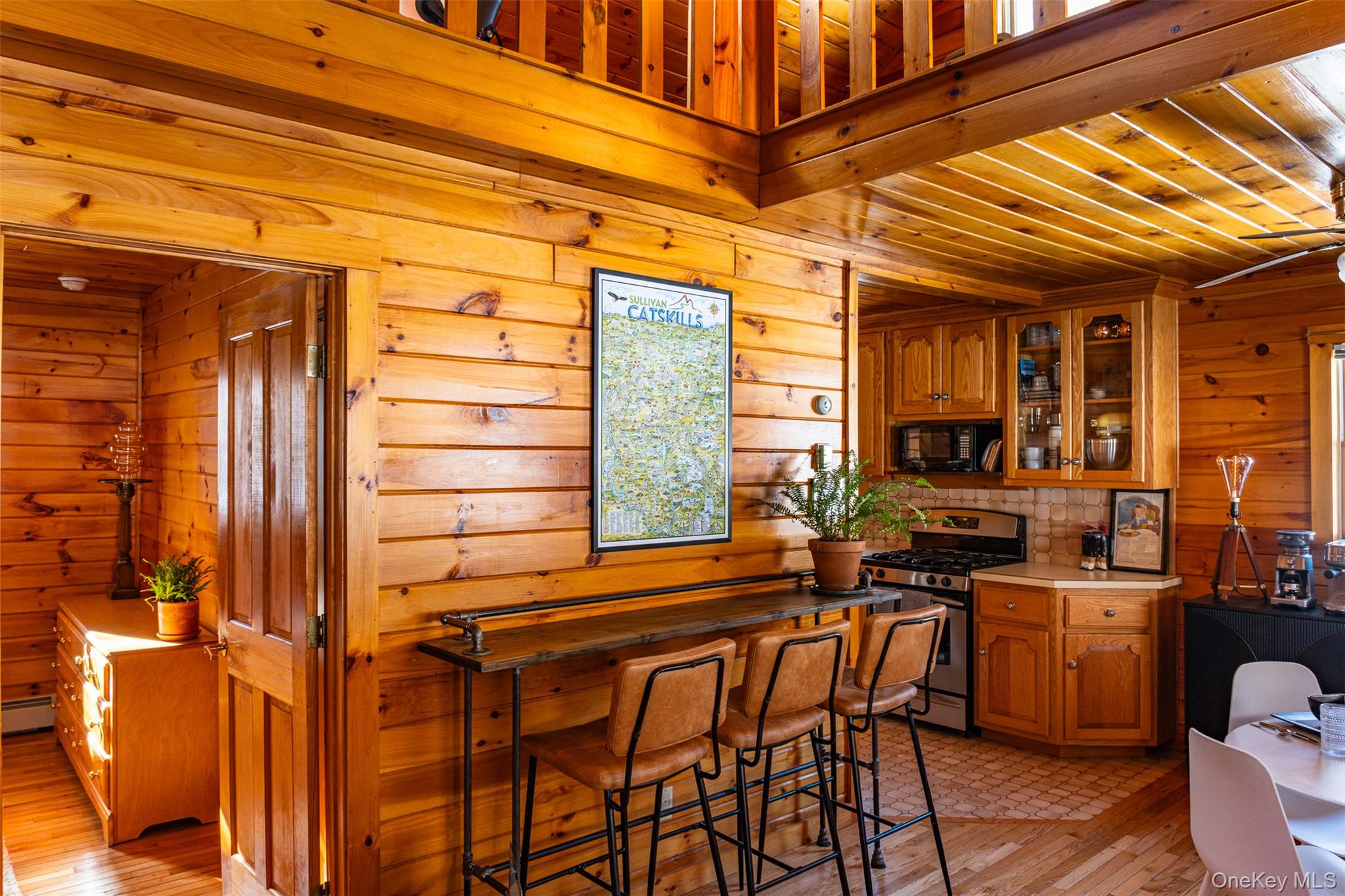 81 Macdougal Road, Roscoe, NY 12776