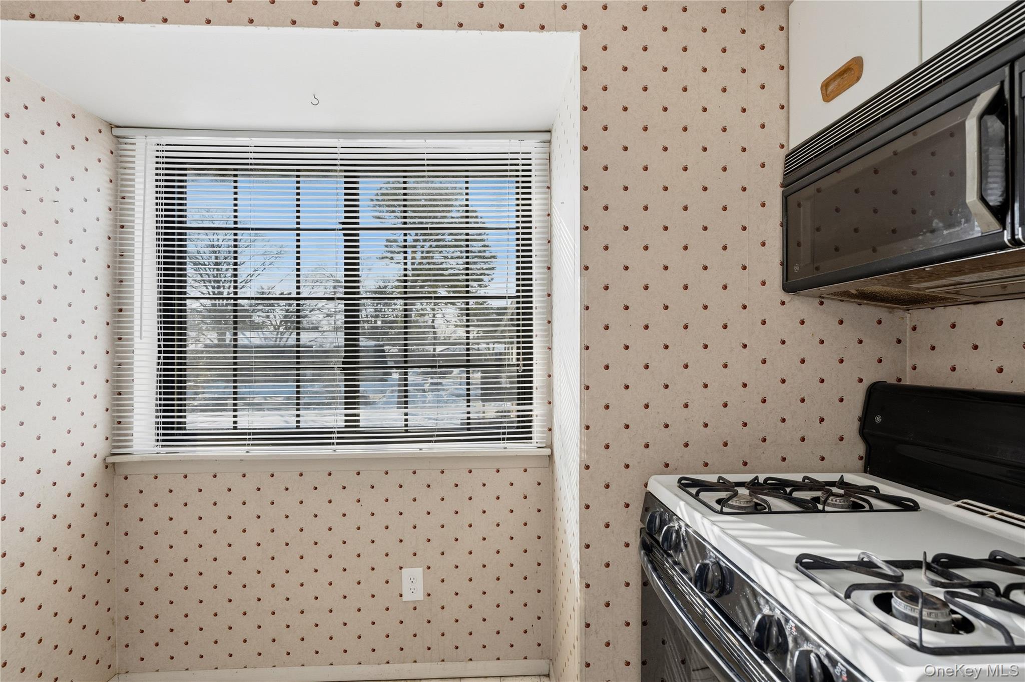 19 Newbrook # 19, Bay Shore, NY 11706