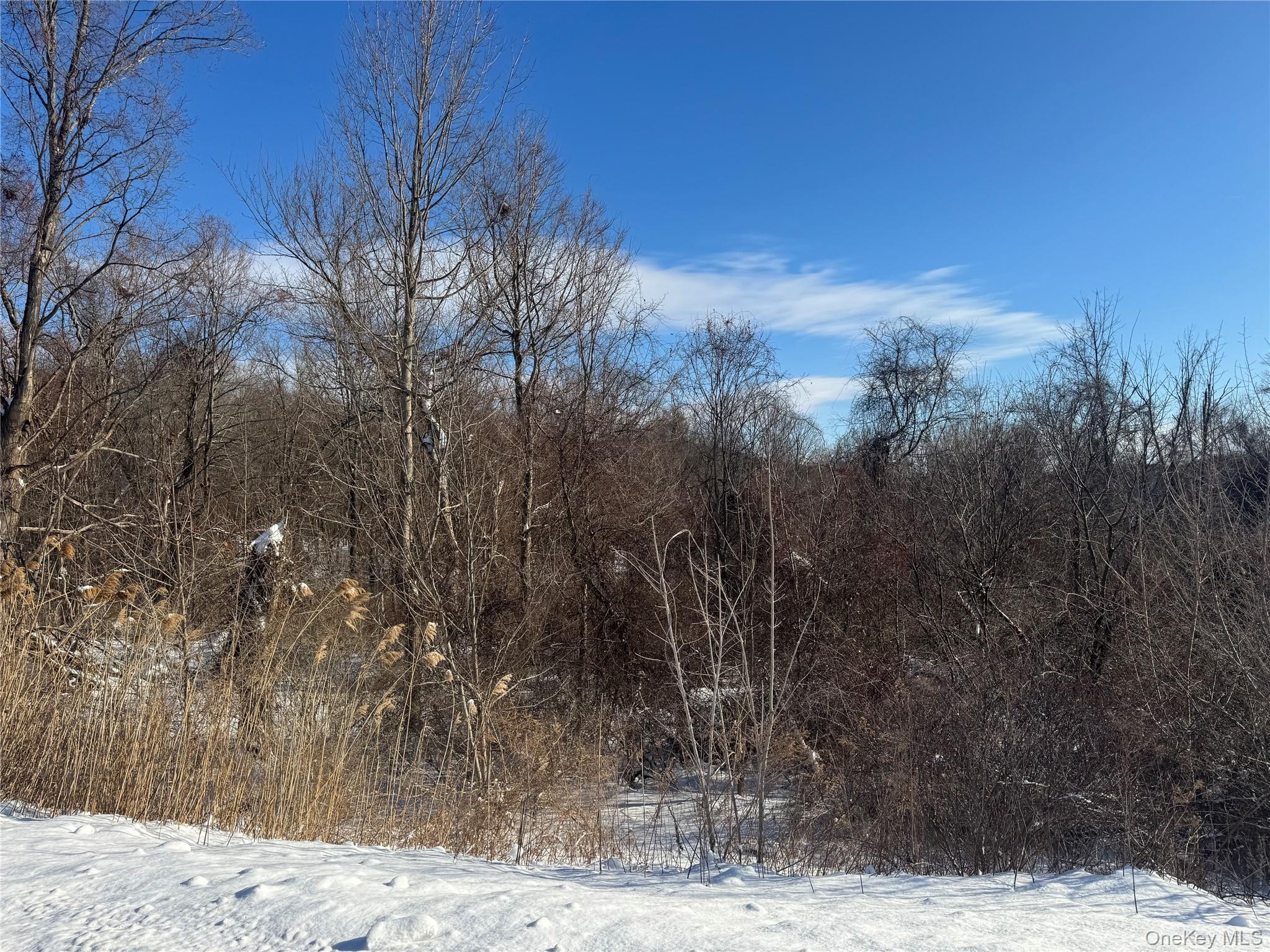 2310 Route 22, Patterson, NY 12563