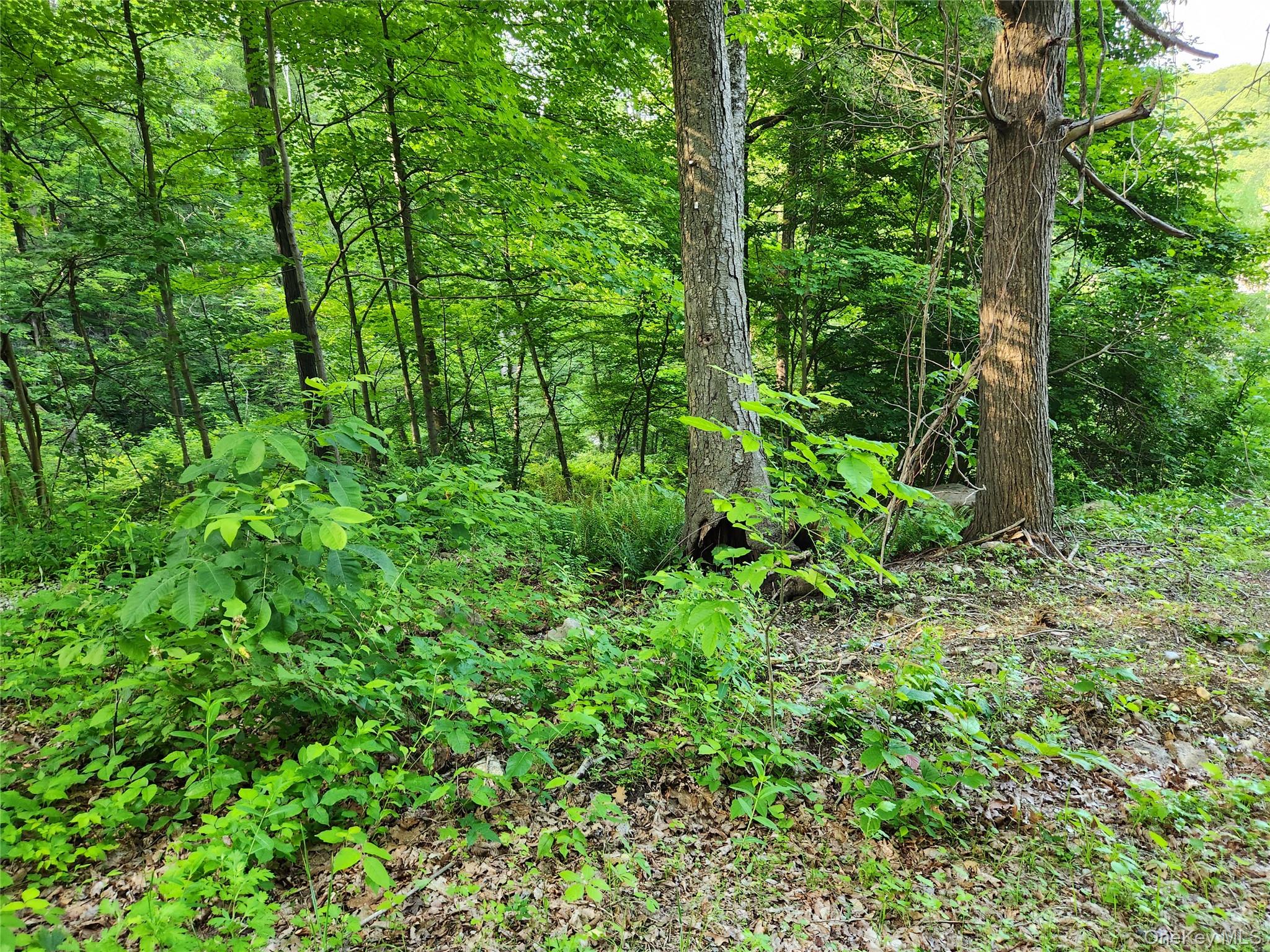 106 Upland Drive, Garrison, NY 10524