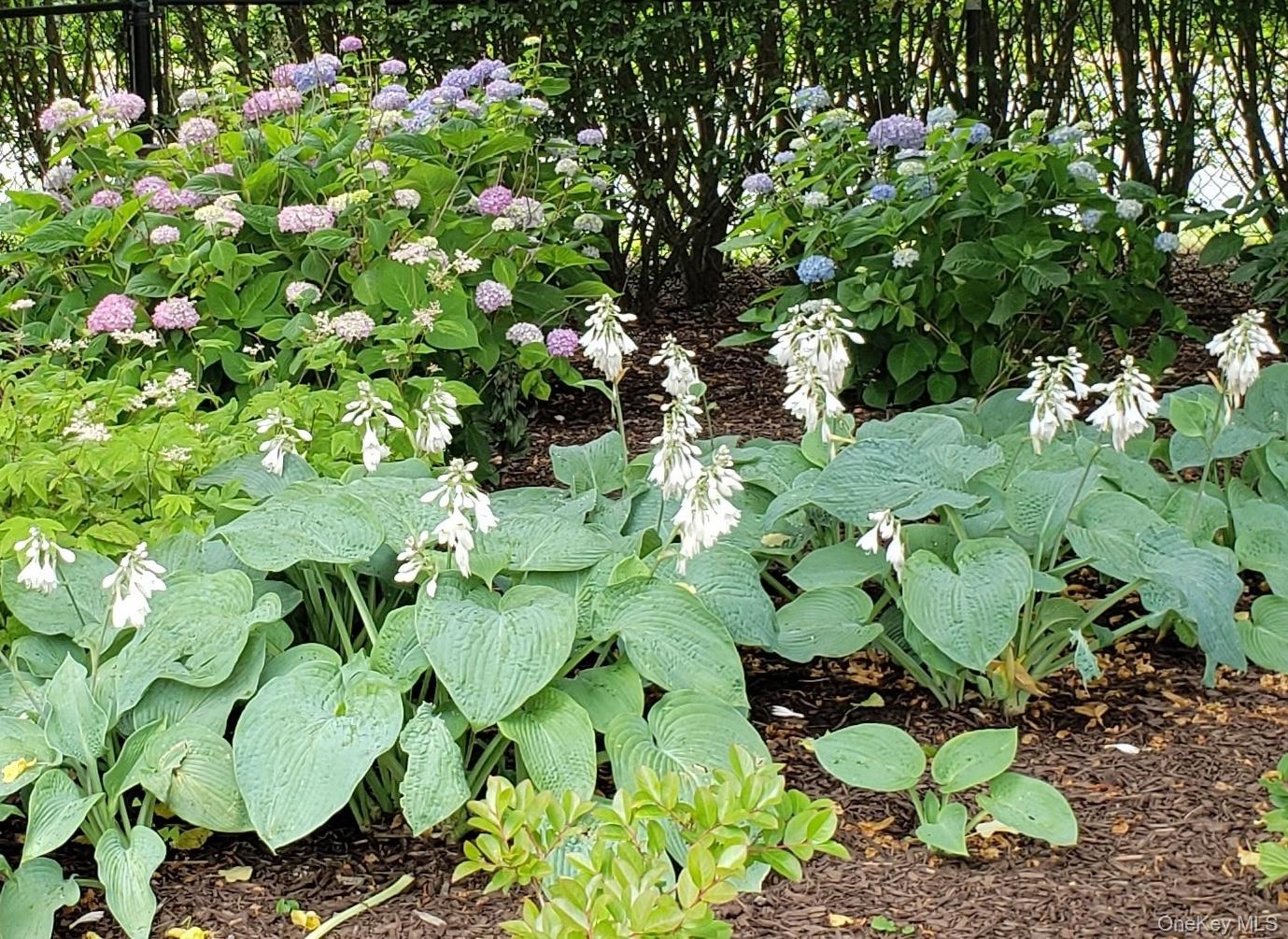 1680 Lands End Road, Orient, NY 11957