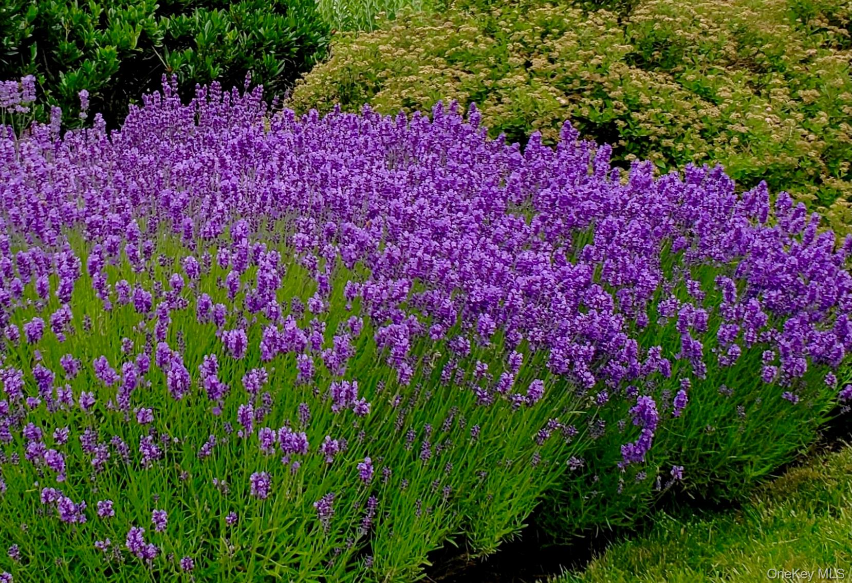 1680 Lands End Road, Orient, NY 11957