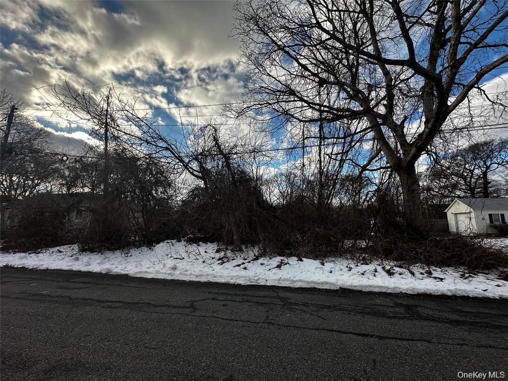 Forest Road, Mastic Beach, NY 11951