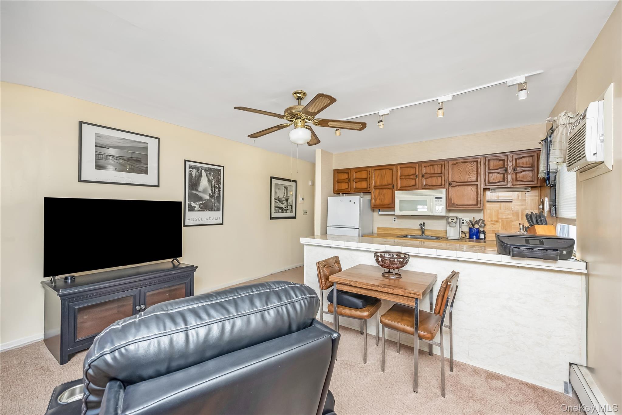 10 Leanore Drive, Farmingdale, NY 11735