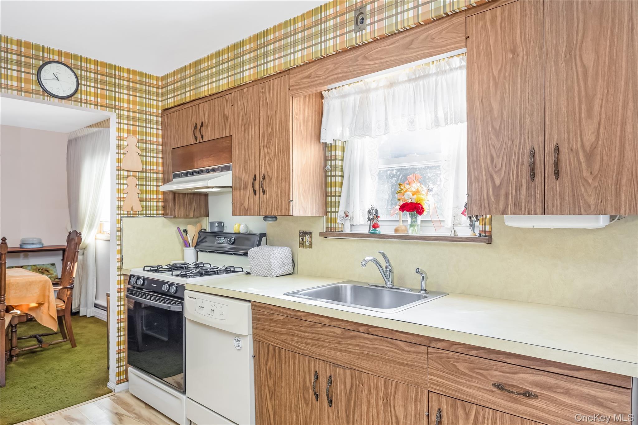 10 Leanore Drive, Farmingdale, NY 11735