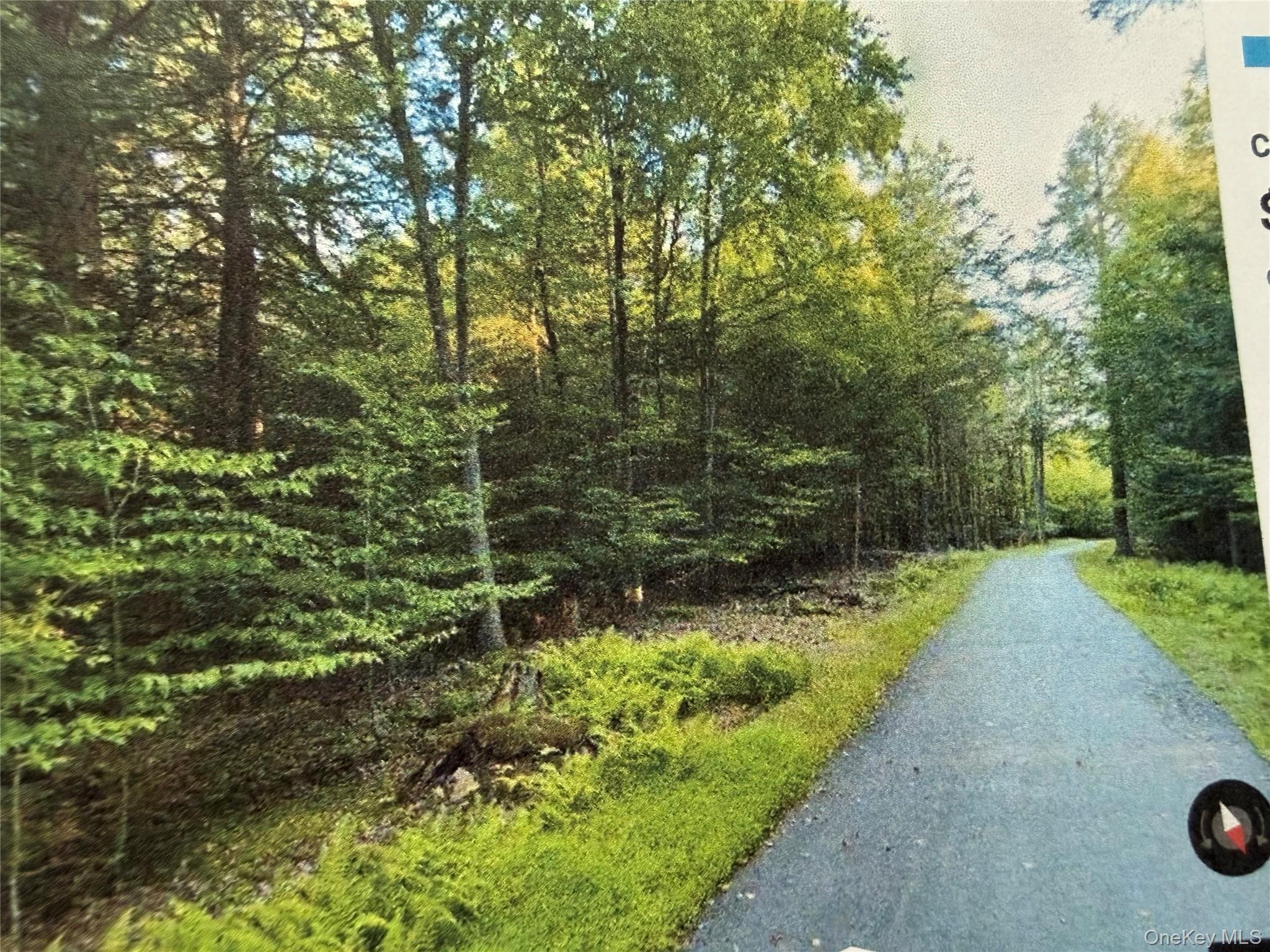 Highview Drive, Bethel, NY 12720