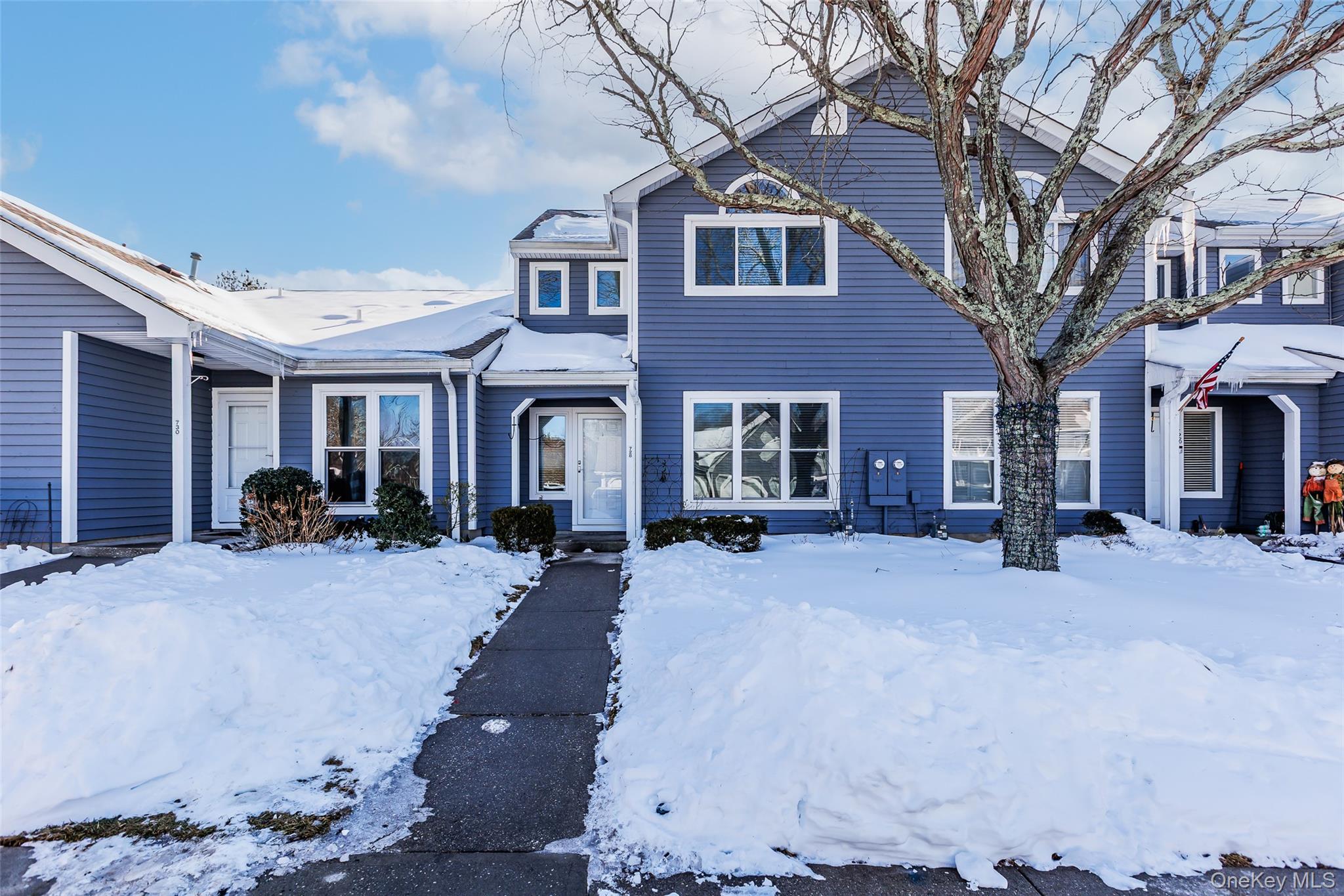 728 Birchwood Park Drive, Middle Island, NY 11953