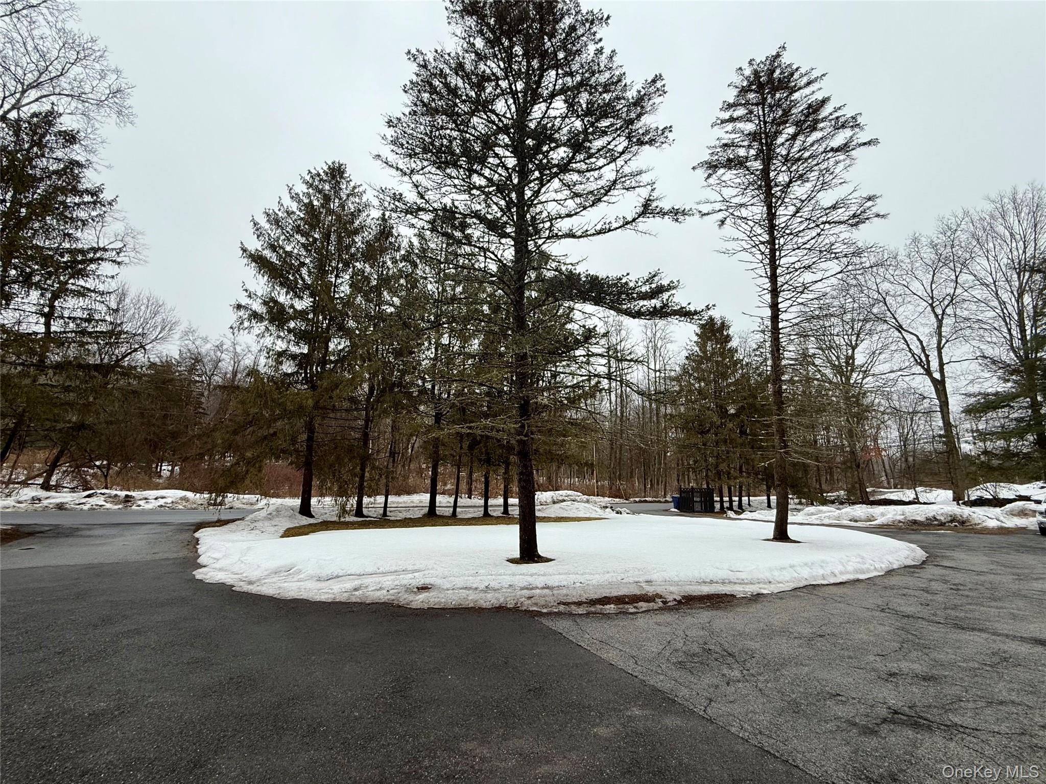 102 Fallkill Road # 1W, Hyde Park, NY 12538