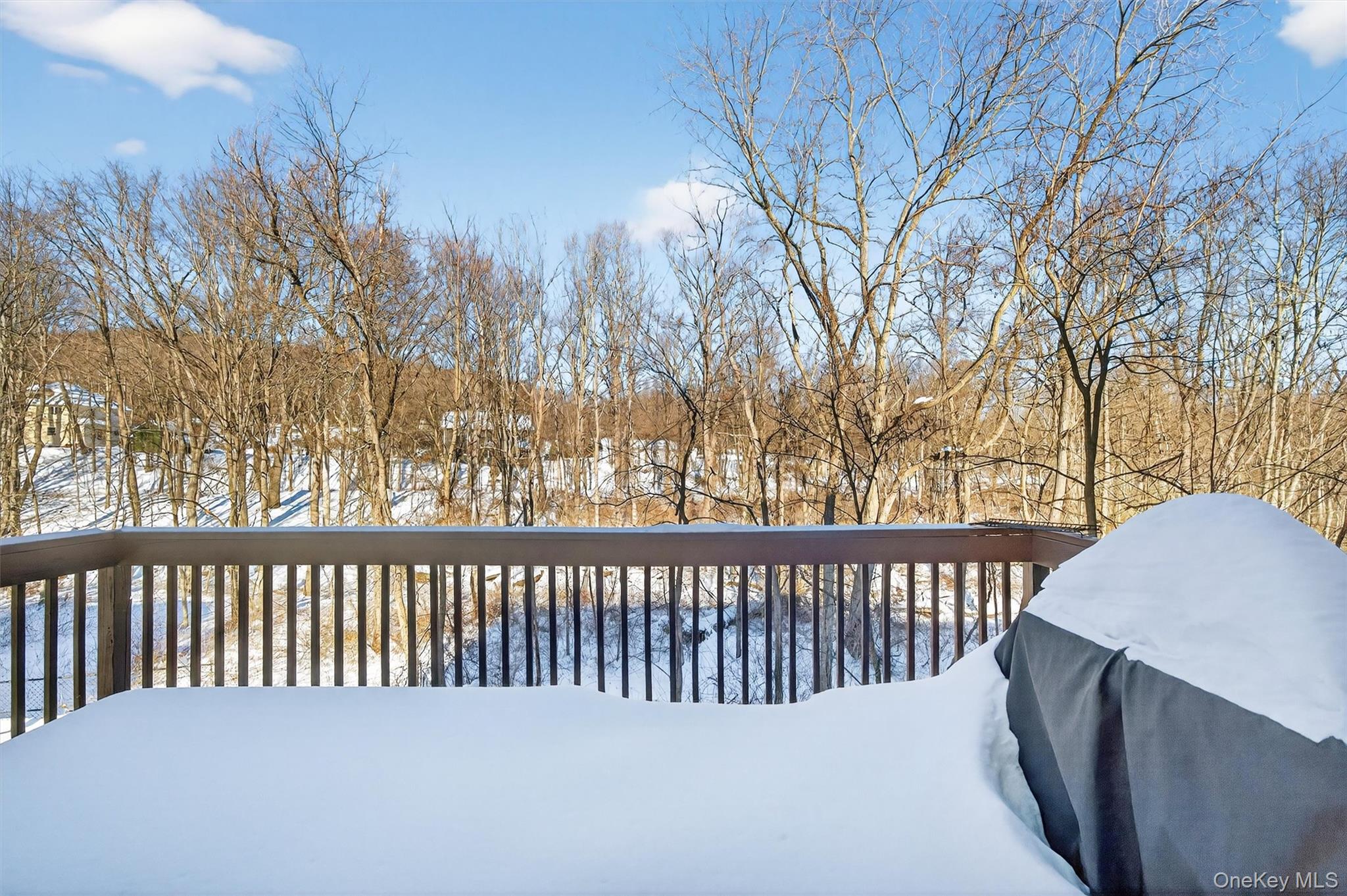 32 Peter Turner Road, Monroe, NY 10950