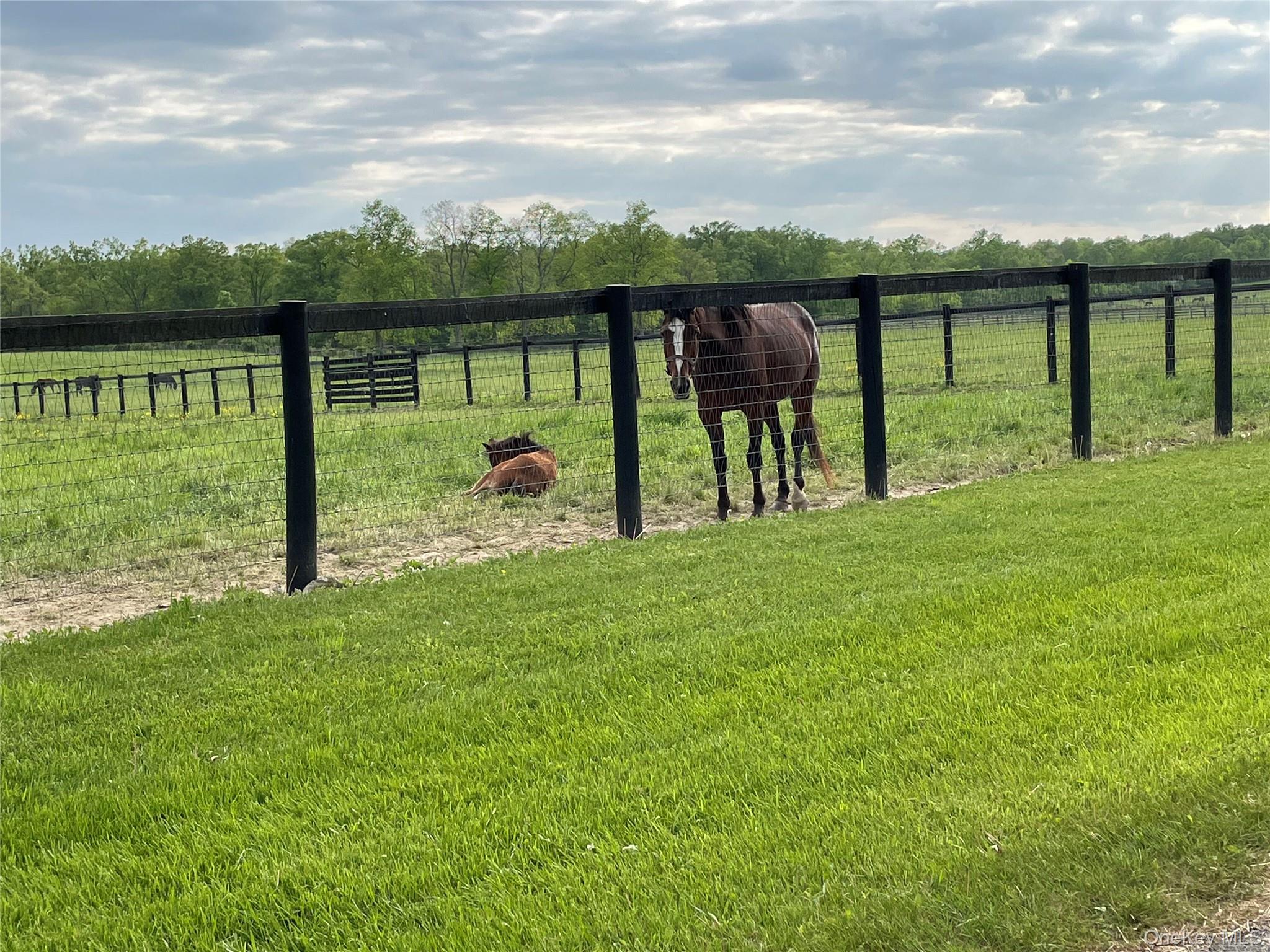 40 Bates Lane, Wallkill, NY 12589