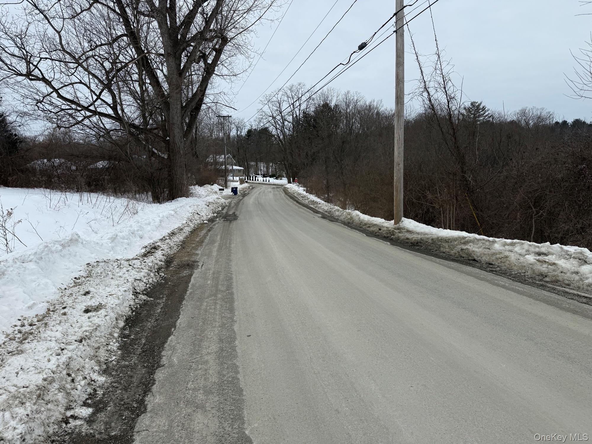 8 yellow city rd, Amenia, NY 12501