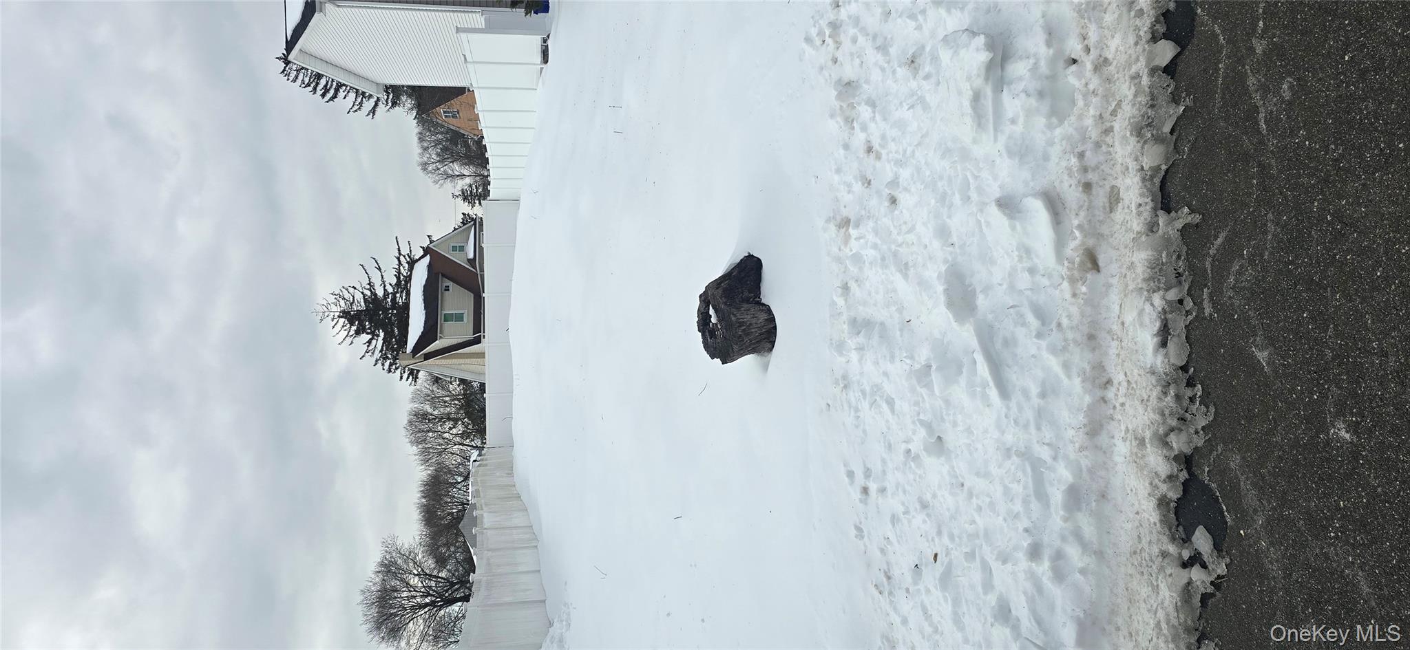 20 Chestnut Street, Wyandanch, NY 11798