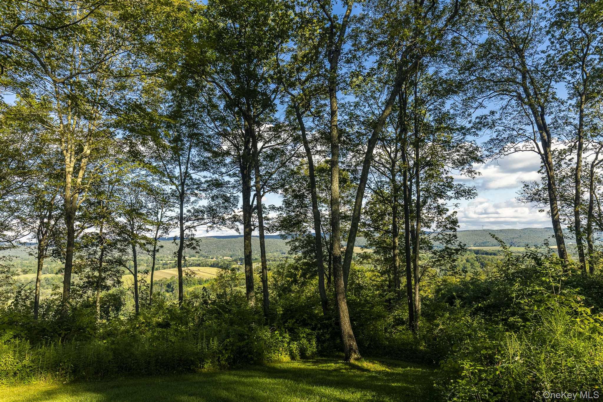 108 Westerly Ridge Drive, Amenia, NY 12501