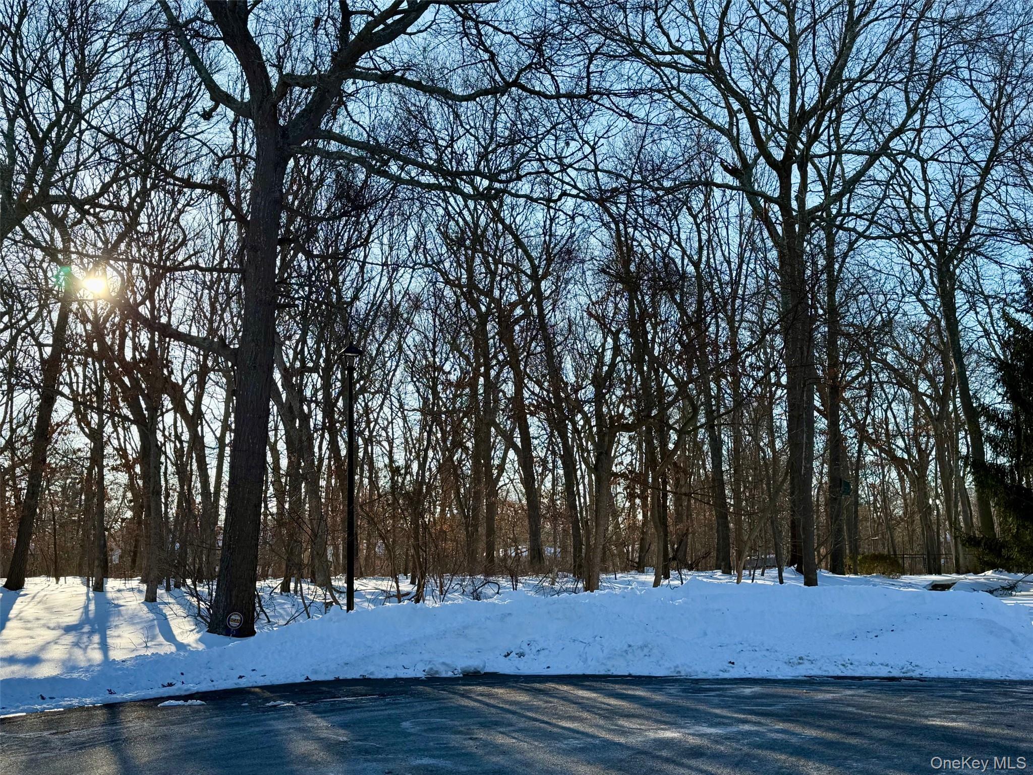 5 Holly Court, Center Moriches, NY 11934