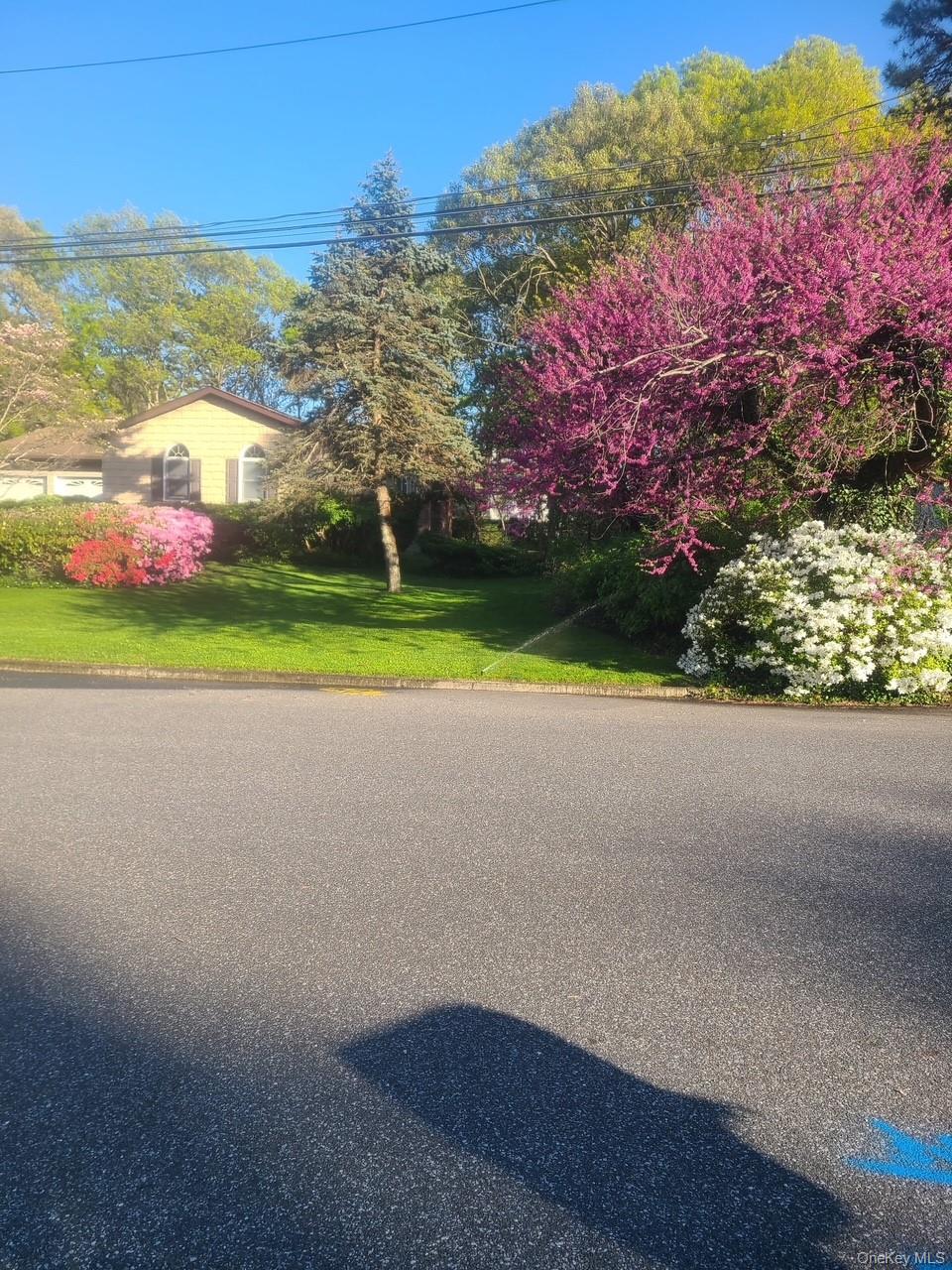 38 Maria Court, Holbrook, NY 11741