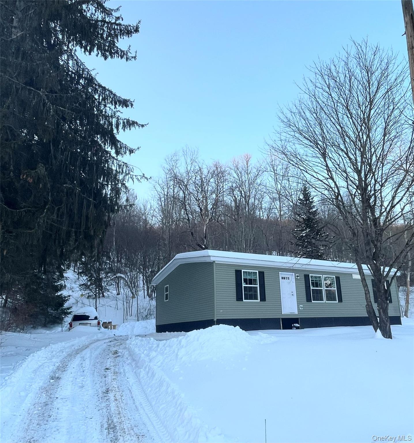 317 Debruce Road, Livingston Manor, NY 12758