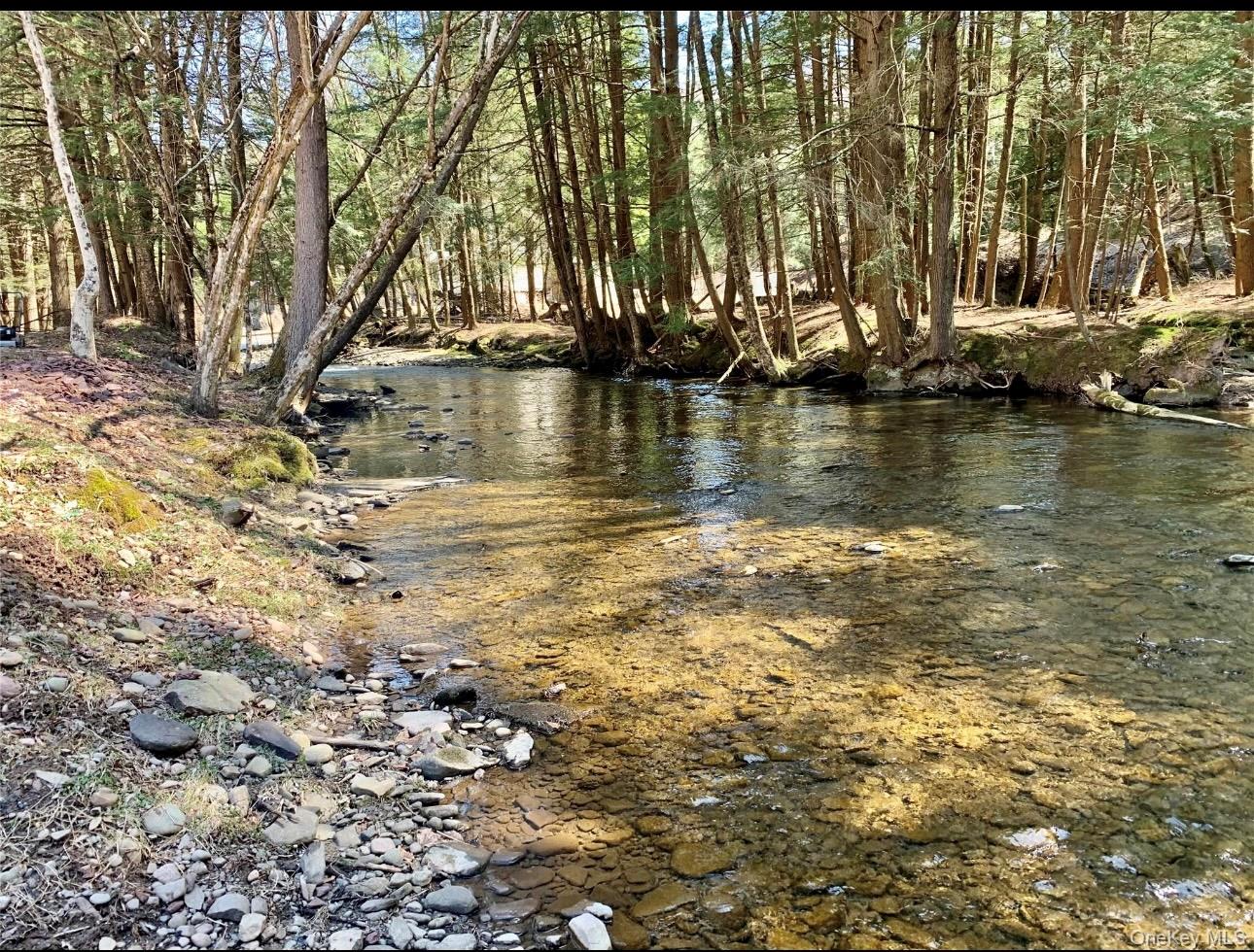 604 Basket Road, Long Eddy, NY 12760