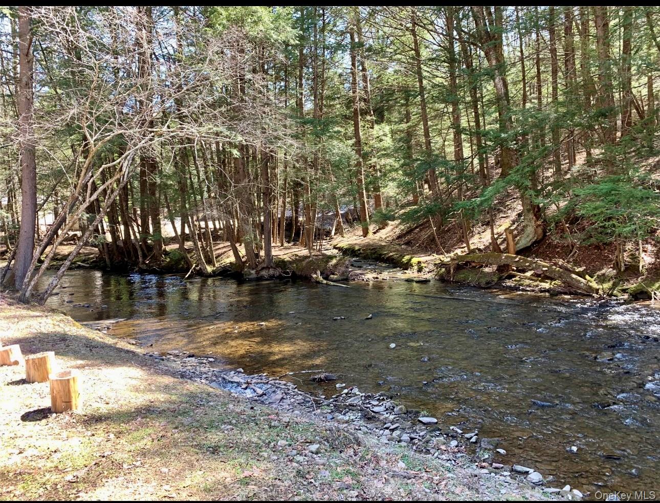 604 Basket Road, Long Eddy, NY 12760