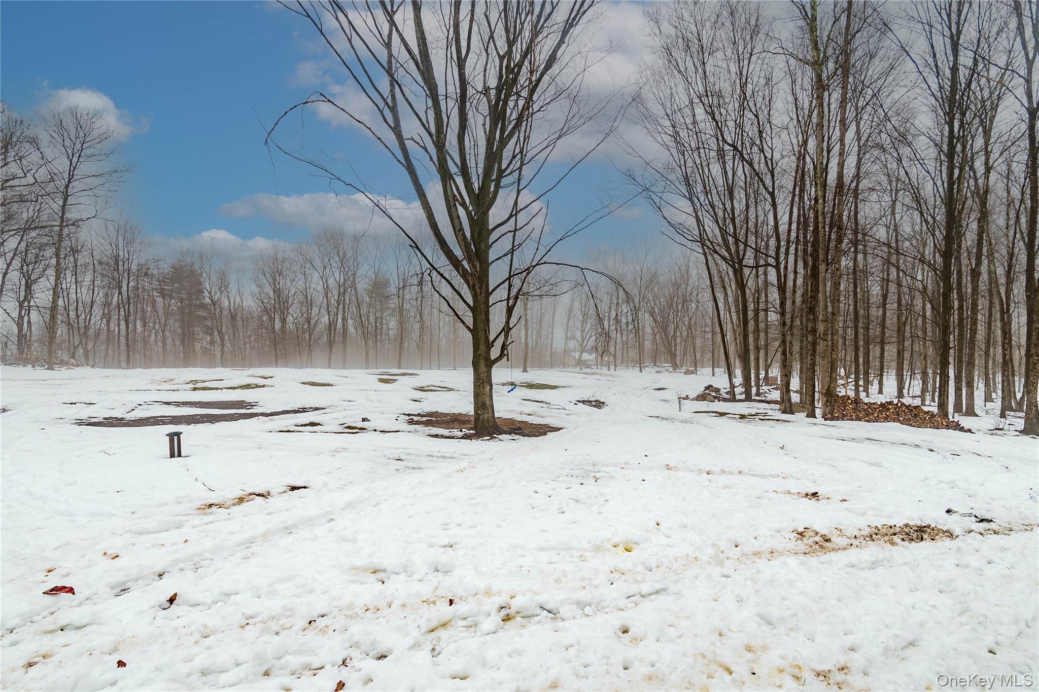 4 Lewis Lane, Bloomingburg, NY 12721