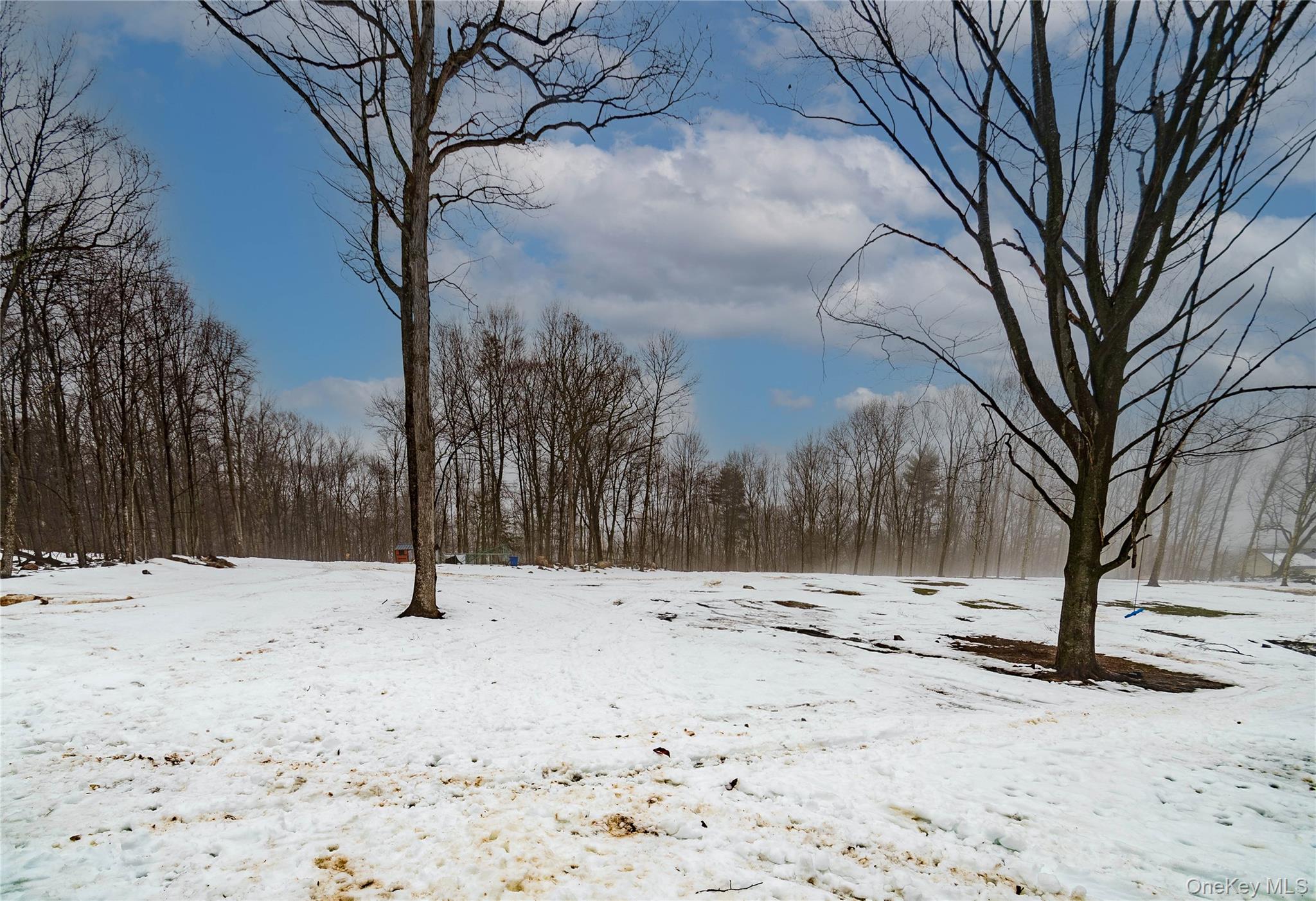 4 Lewis Lane, Bloomingburg, NY 12721