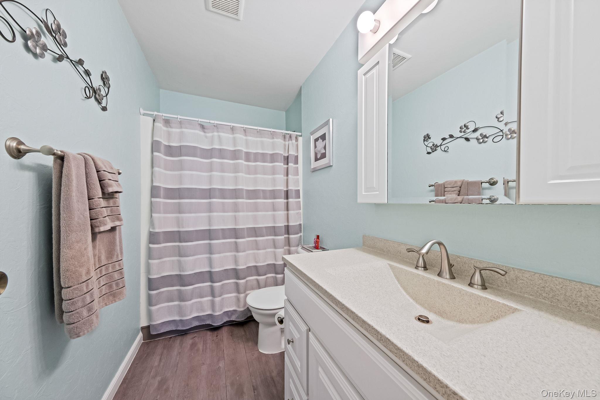 16 Magic Mountain Drive, Coram, NY 11727