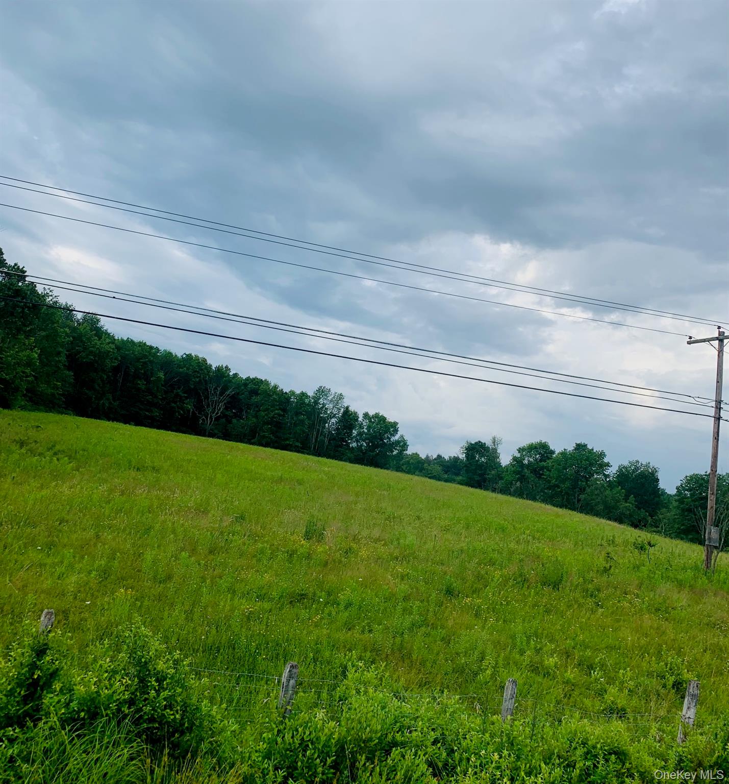 3 Burr Road, Cochecton, NY 12726