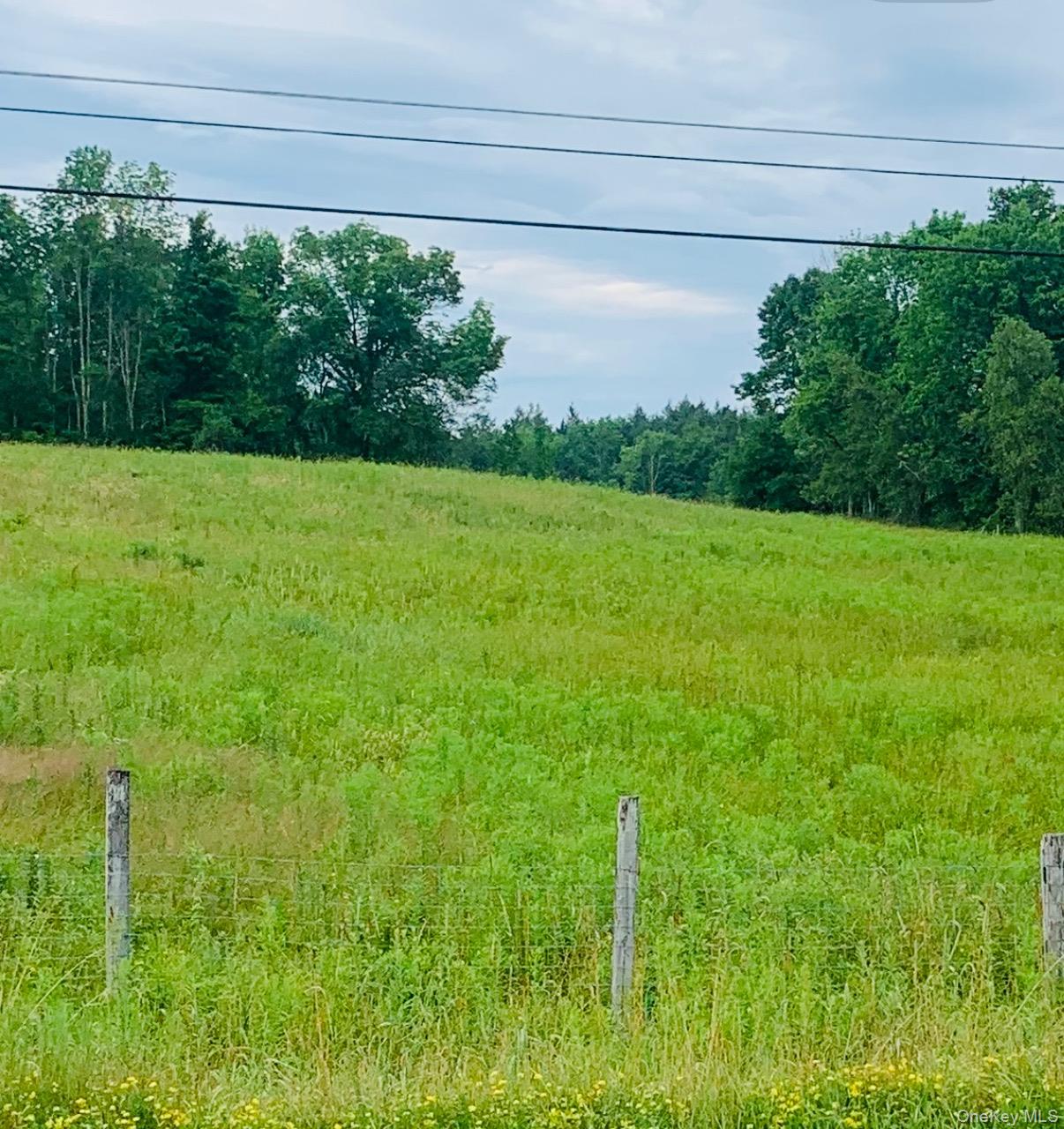 3 Burr Road, Cochecton, NY 12726