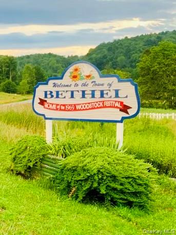 3 Burr Road, Cochecton, NY 12726