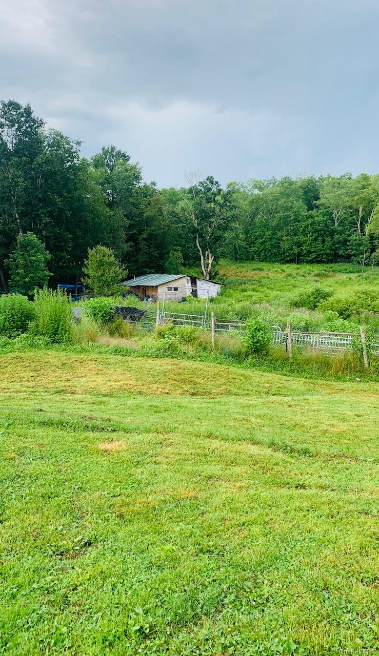 3 Burr Road, Cochecton, NY 12726