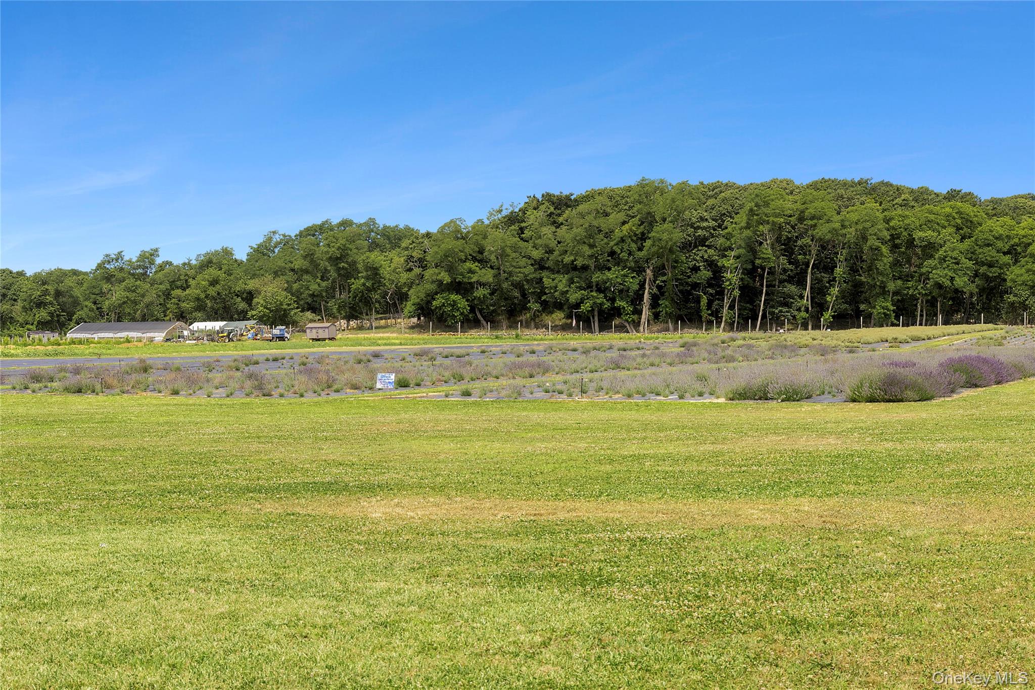 2551 & 3360 Sound Ave, Riverhead, NY 11901