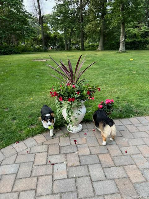 96 Brooksite Drive, Smithtown, NY 11787