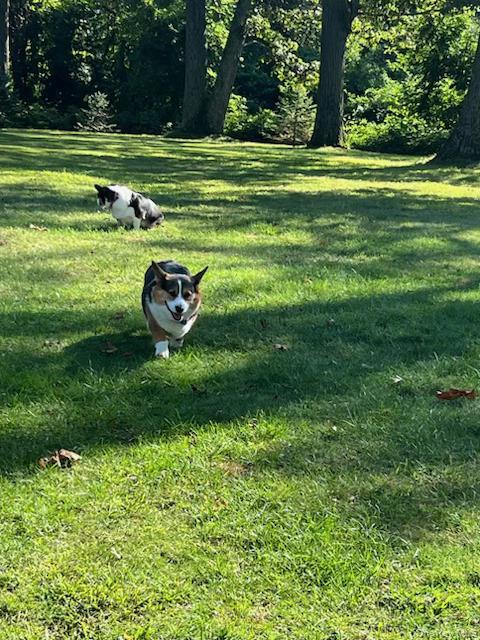 96 Brooksite Drive, Smithtown, NY 11787