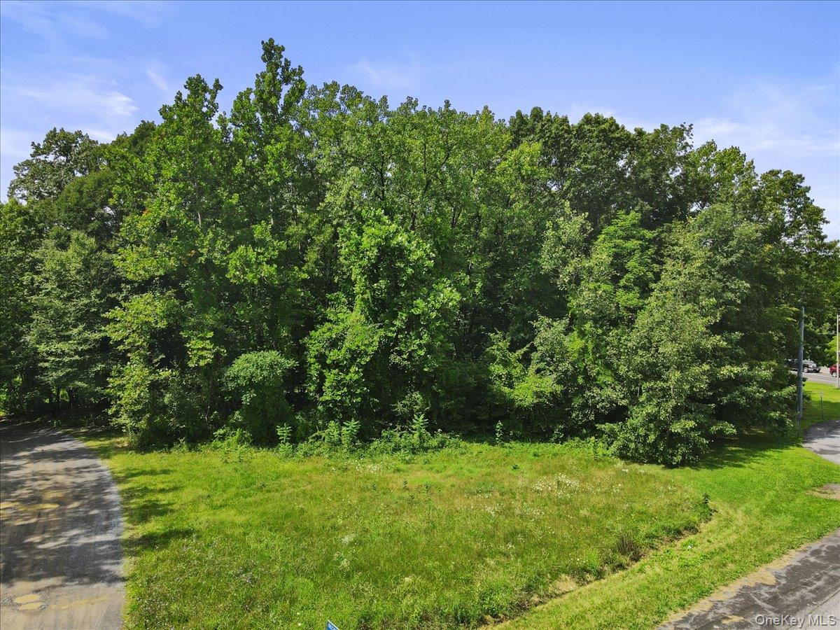 Beckrick Drive, Rhinebeck, NY 12572