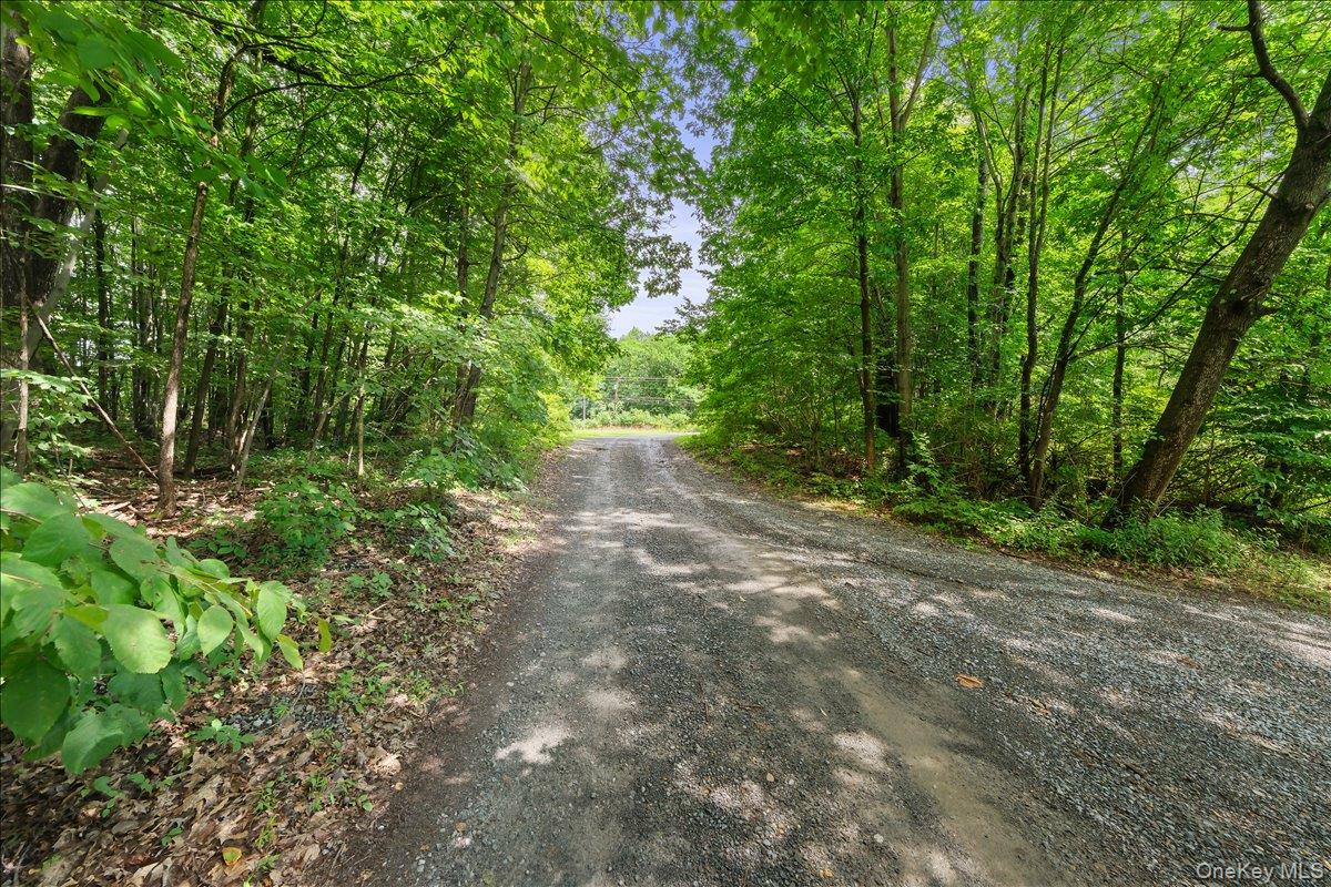 Beckrick Drive, Rhinebeck, NY 12572