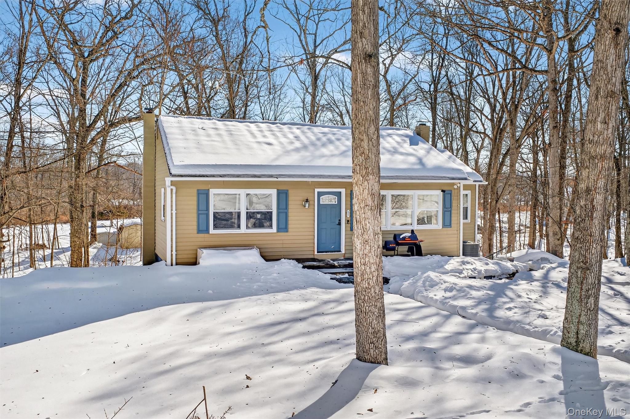 51 E Green Road, Rock Tavern, NY 12575