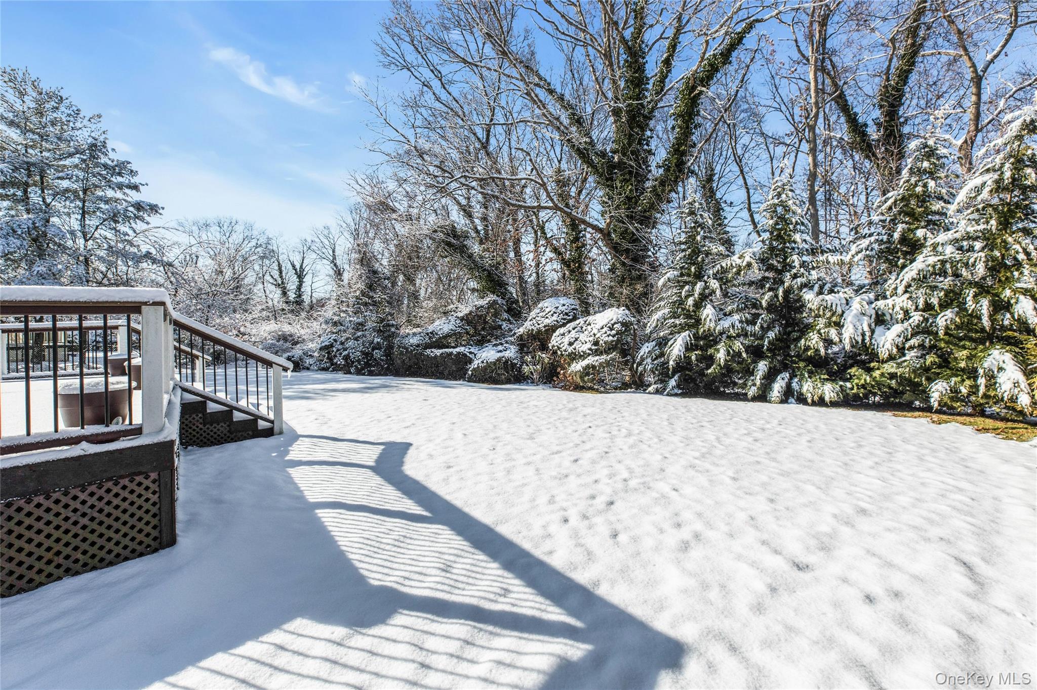 61 Hofstra Drive, Plainview, NY 11803