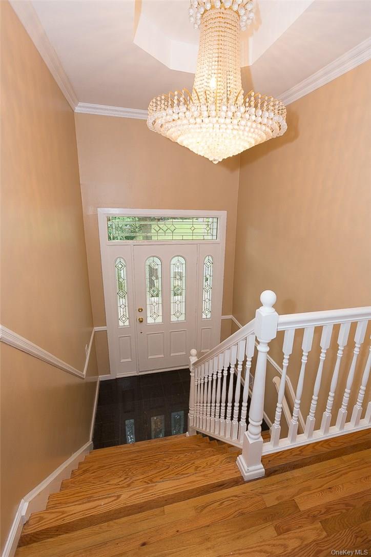 49 Soulice Place, New Rochelle, NY 10804