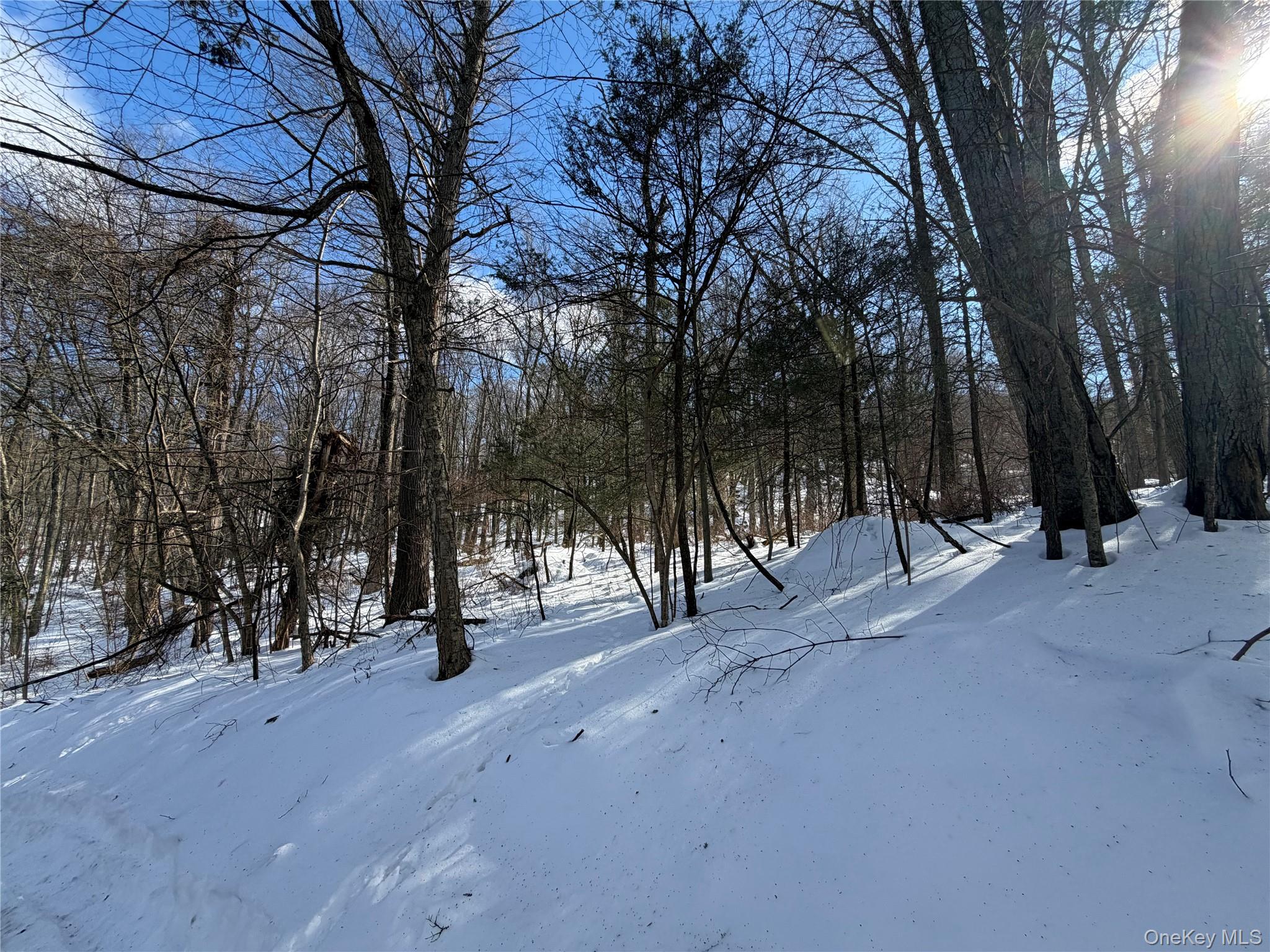 Saw Mill Road, Putnam Valley, NY 10579