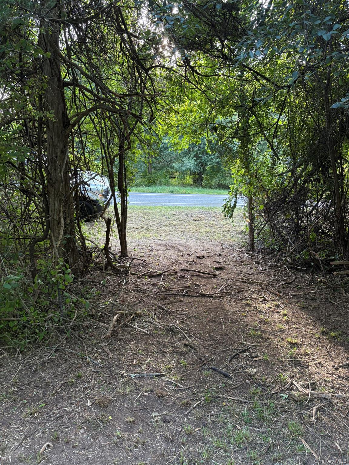 Beaver Rd (Jackson Crs), Red Hook, NY 12571